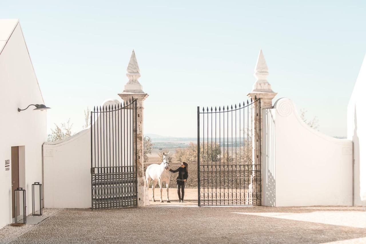 Torre de Palma Wine Hotel - Design Hotels Monforte Buitenkant foto